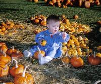 Pumpkin Patch 7.jpg